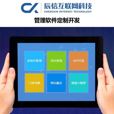 辰信互聯(lián)網(wǎng)科技 專業(yè)企業(yè)軟件開(kāi)發(fā)，驅(qū)動(dòng)數(shù)字化未來(lái)